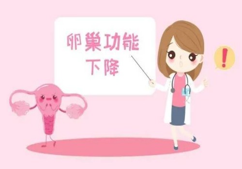 上海助孕生子：提高囊胚移植成功率，这三个方法不能忽视