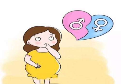 上海正规助孕机构：胎停胚胎送检的价格如何？费用构成和注意事项曝光