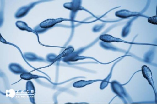 上海试管助孕公司：早产儿可以申请大病救助吗？这样能够尽量避免婴儿早产