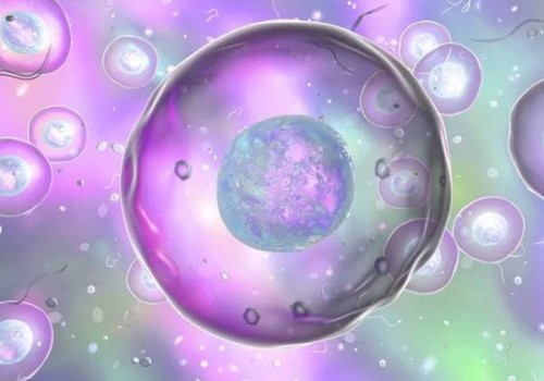 宝宝病毒性感染身上起疹子,病毒疹可能会导致孩子发低烧